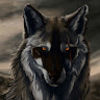 wolfqueen6261
